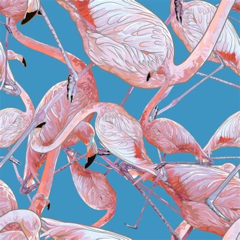 isinglass flamingo illustration graphic design pattern illustration