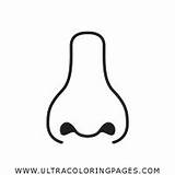 Naso Nase Colorare Disegni Ausmalbilder Noun Library Rhinoplasty Ultracoloringpages sketch template