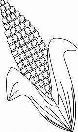 Corn Coloring Printable Pages Ear Sweet Drawing Sheet Candy Trinity Color Print Clipart Getdrawings Getcolorings Clip Popular Library Paintingvalley Coloringhome sketch template