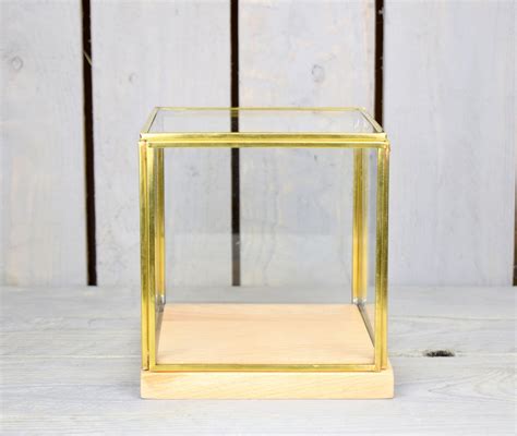 Large Glass And Brass Display Showcase Box Dome With Wooden Base Tall
