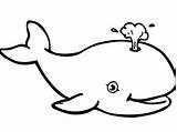 Whale Coloring Pages Kids Sperm Outline Preschool Killer Drawing Printable Jonah Clipart Color Animals Fascinating Gorgeous Shark Getcolorings Print Kindergarten sketch template