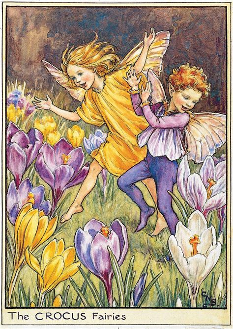 fairies   spring archives flower fairies
