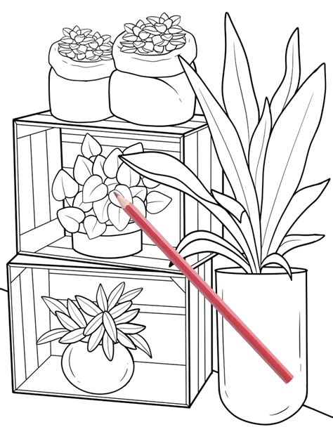 houseplant coloring pages coloring pages