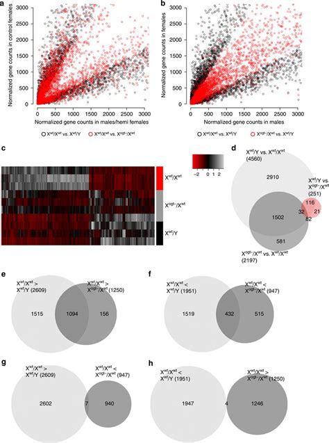 Sex Differences In Placental Trophoblast And Fetal Hypothalamic Gene