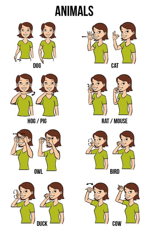 images  sign language  pinterest
