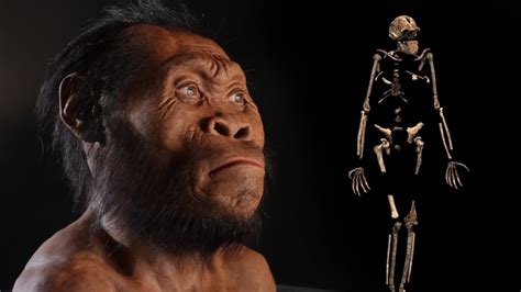it wasn t just neanderthals ancient humans had sex with other hominids