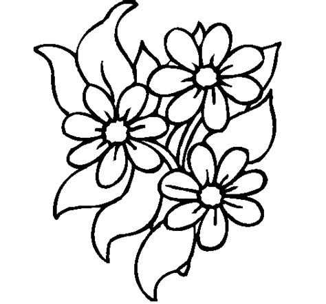 flowers coloring page coloringcrewcom