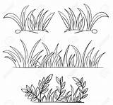 Grass Coloring Pages Outline Sketch Clipart Outlines Vector Plant Illustration Drawing Color Green Eps Portfolio Format Also Available Drawings Printable sketch template