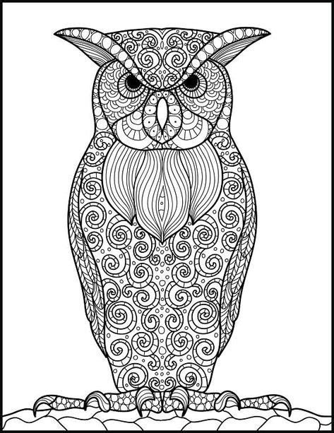 owl printable coloring page adult coloring page animal coloring page
