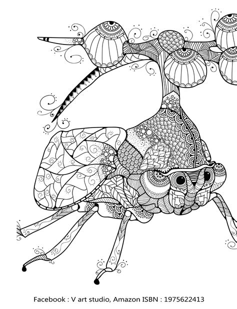 insects collection coloring book  adults stunning coloring patterns