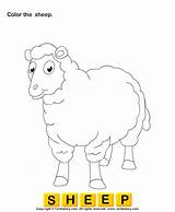 Color Sheep Animals Worksheets Worksheet Preschool Coloring Farm Years Turtlediary Kids Pages Animal Alphabet Educational Games sketch template