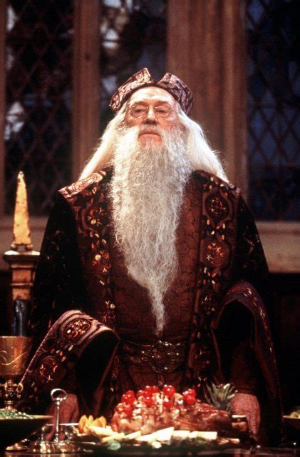 The Real Reason Ian Mckellen Turned Down The Role Of Dumbledore In