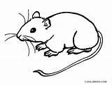 Mouse Coloring Pages Printable Rat Cute Drawing Rodent Kids Colouring Drawings sketch template