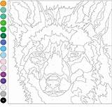 Number Color Coloring Pages Numbers Printable Tiger Wonder Flowers sketch template