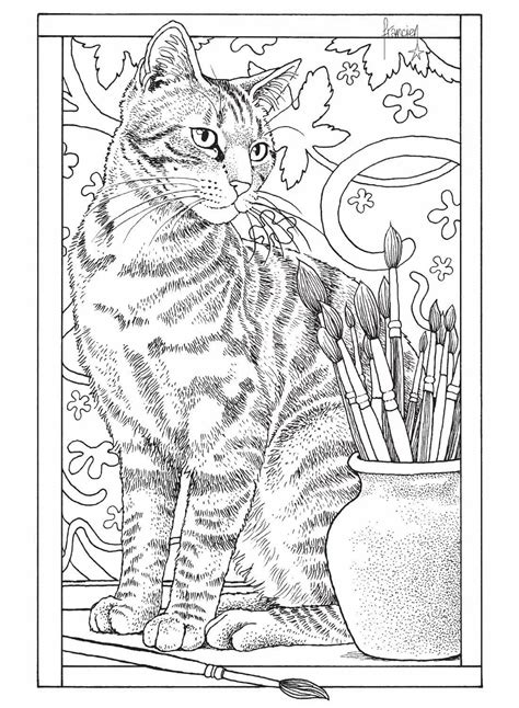 colouring books  adults cats