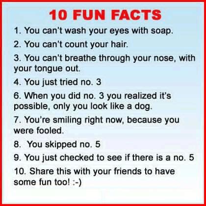 fun facts pictures   images  facebook tumblr pinterest  twitter