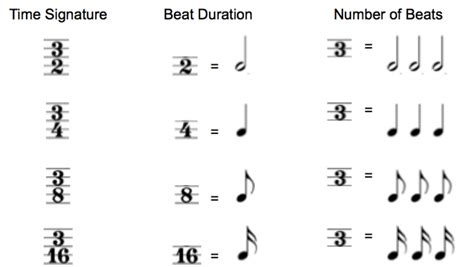 rhythm basics beat measure meter time signature tempo images