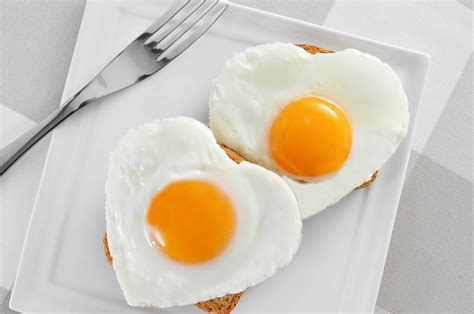 eggs  build  brain     smarter
