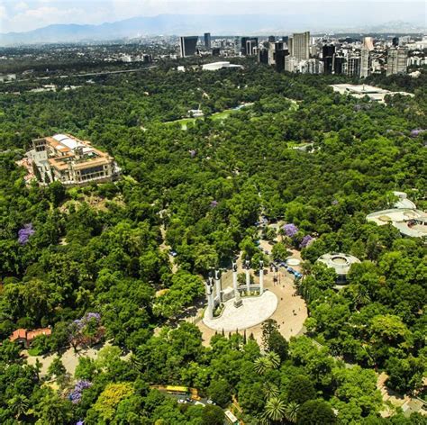An Aerial View Of A Park With Trees And Buildings In The Background
