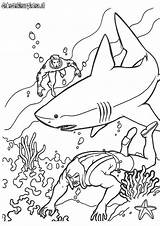 Coloring Pages Aquaman Comments sketch template