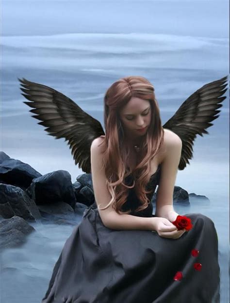 Pin By ♥️heather J Honomichl Woodhul On Angel Beauties Black Wings ♥️♥