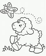 Kleurplaat Lente Kleurplaten Lammetje Lammetjes Groep Schaap Schapen Tekeningen Tekening Tekenen Makkelijk Omnilabo Kinderen Downloaden Shirley Knutselen sketch template