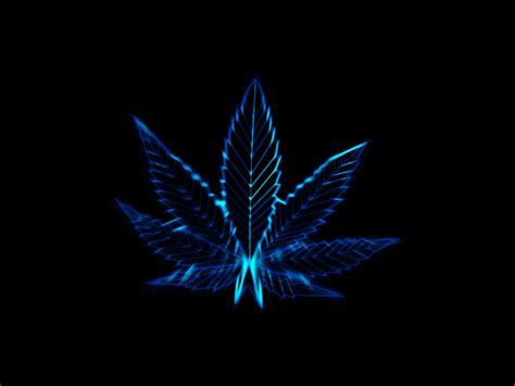 electrified marijuana  neverdying  deviantart