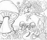Coloring Pages Mushroom Psychedelic Printable Trippy Wonderland Alice Adults Adult Drawing Mushrooms Toadstool Print Colouring Books Kodak Getcolorings Getdrawings Drawings sketch template
