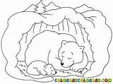 Bear Coloring Cave Hibernating Pages Clipart Bears Animals Colouring Hibernation Polar Printable Kids Print Hibernate Sleeping Color Sheet Winter Drawing sketch template