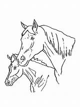 Paarden Kleurplaten Kleurplaat Van Paard Horses Coloring Zo Fun Kids sketch template