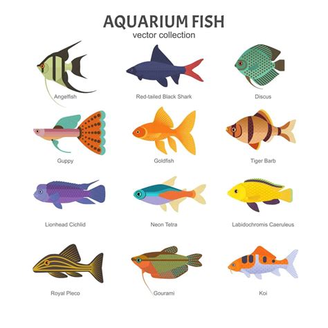 types  fish