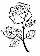 Flores Rosas Dibujar Rose Calcar Faciles Dibujosparacolorear Hojas Indiaparenting Especies sketch template