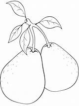 Pere Colorat Planse Pears Cu Perele Clopotel Panou Alege Fructe Coloreaza sketch template