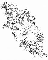 Hibiscus Metacharis sketch template