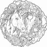 Ritratto Decorato Cavallo Stallion Strisce Piume Graphicriver Maschio Cavalli Stallone Fiori sketch template