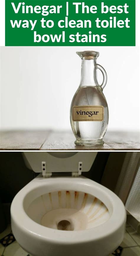 vinegar     clean toilet bowl stains   toilet