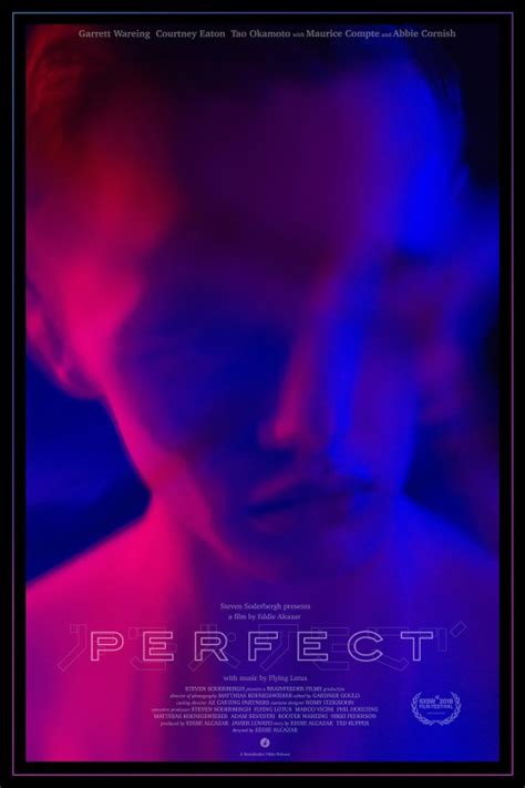 perfect  poster    imp awards
