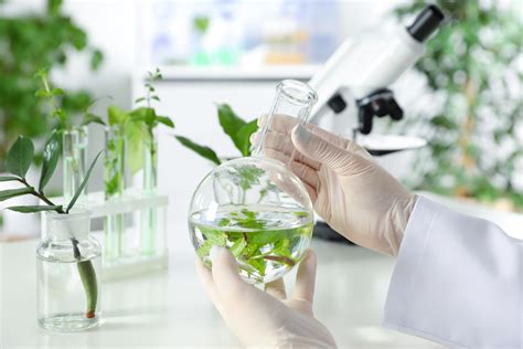 common problems  tissue culture plant cell technology