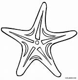 Seestern Starfish Estrela Ausmalbilder Ausmalbild Cool2bkids Ausdrucken Colorironline sketch template