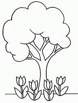 Coloring Plants Plant Pages Tree Flowers Colouring Printable Kids Desert Clipart Template Animals Flower Sheet Kindergarten Planting Nature Spring Shrub sketch template