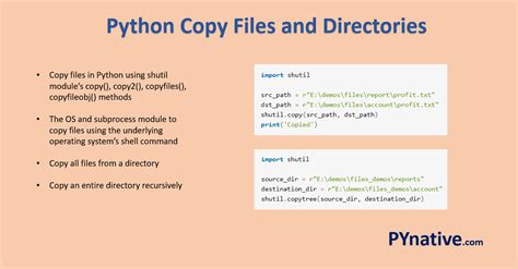 python copy files  directories  ways pynative