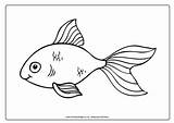 Goldfish Colouring Pages Animals Year Become Member Log Village Activity Explore sketch template
