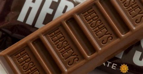 Faith Salie Give Me Chocolate Sweet Chocolate Cbs News