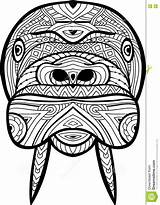 Ferocious Walrus Designlooter Antistress sketch template