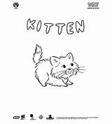 Speaks Martha Coloring Pages Book Kitten sketch template