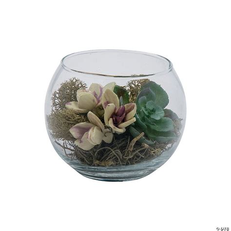 small  glass vase  succulents discontinued