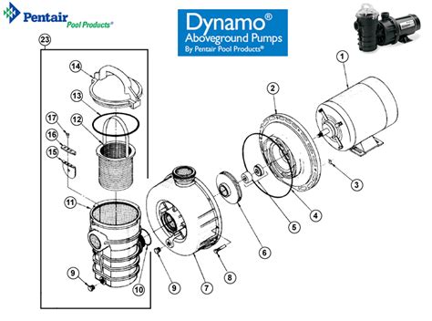 pentair dynamo pump replacement parts