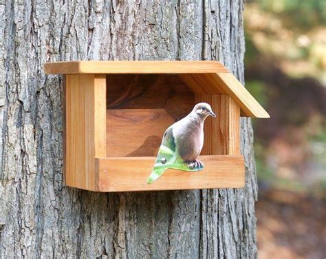 black capped chickadee cedar bird house modern design bird house kits bird house bird
