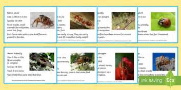 insect information cards insects information cards insects