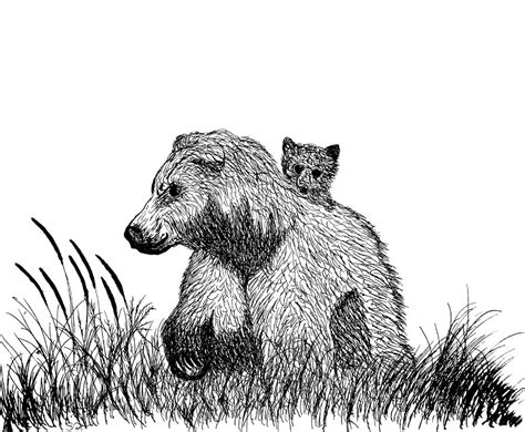 Grizzly Mama Bear With Cub Drawing By Abstract Angel Artist Stephen K